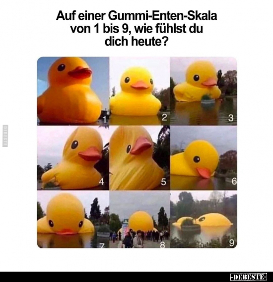 Auf einer Gummi-Enten-Skala von 1 bis 9, wie fühlst du dich.. - Lustige Bilder | DEBESTE.de