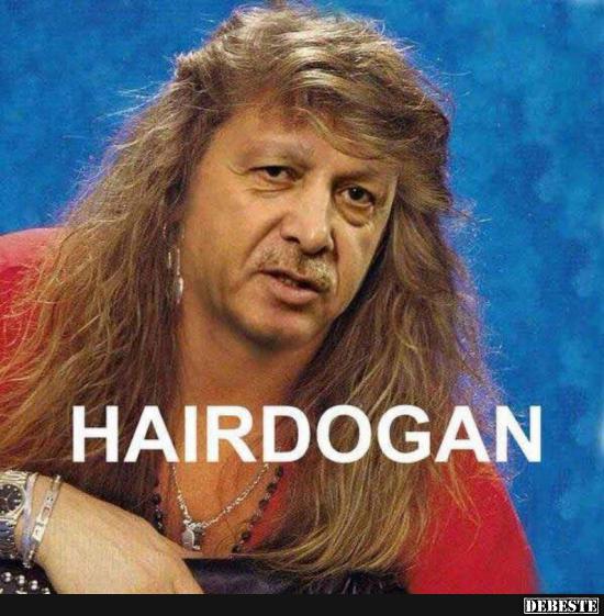 Hairdogan.