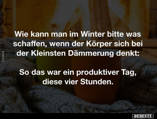Wie kann man im Winter bitte was schaffen, wenn der Körper.. - Lustige Bilder | DEBESTE.de
