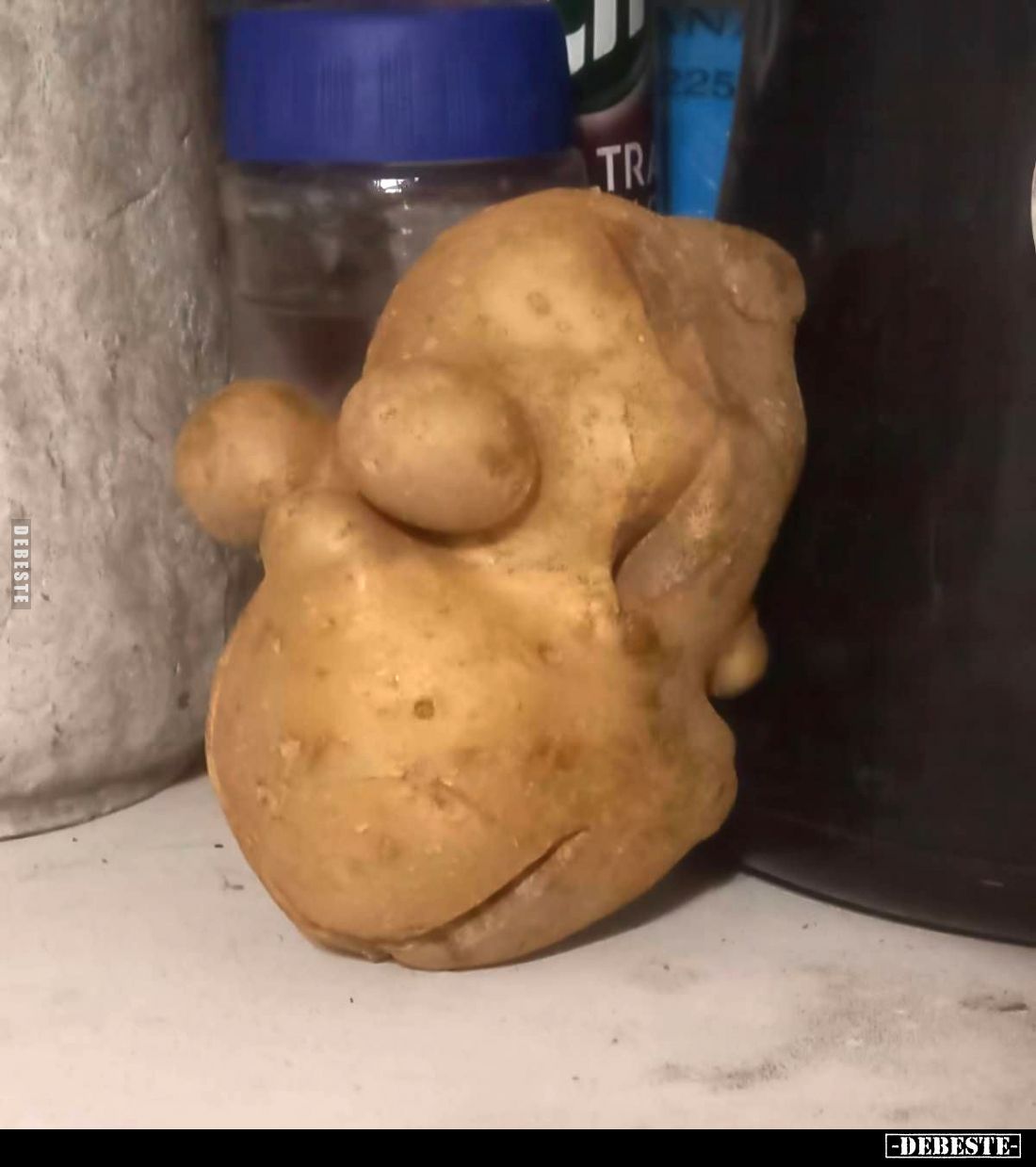 Homer?