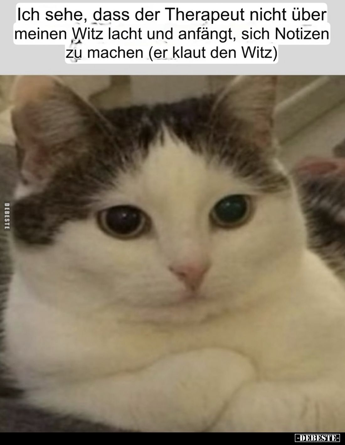 Ich sehe, dass der Therapeut nicht über meinen Witz lacht und anfängt, sich Notizen zu machen (er klaut den Witz)