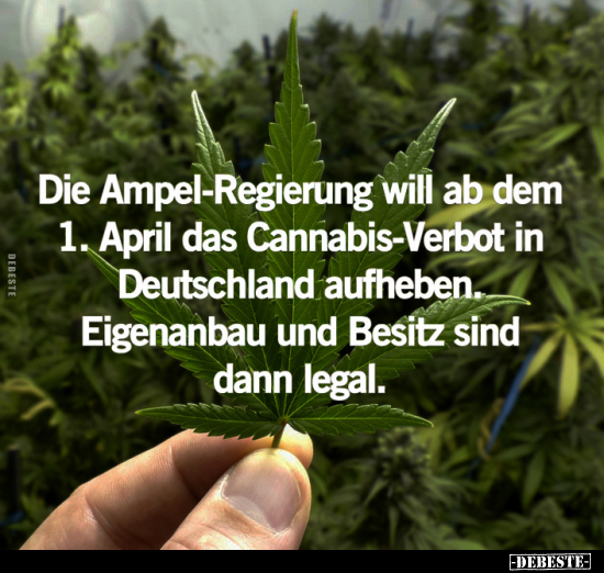 Die Ampel-Regierung.. - Lustige Bilder | DEBESTE.de