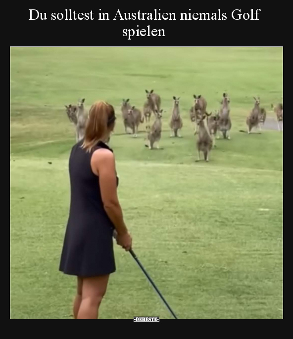 Du solltest in Australien niemals Golf spielen.. - Lustige Bilder | DEBESTE.de