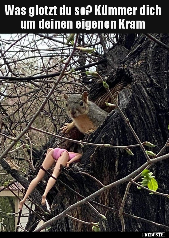 Was glotzt du so? Kümmer dich um deinen eigenen Kram