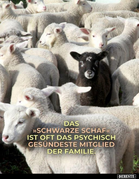 Das "Schwarze Schaf" ist oft.. - Lustige Bilder | DEBESTE.de