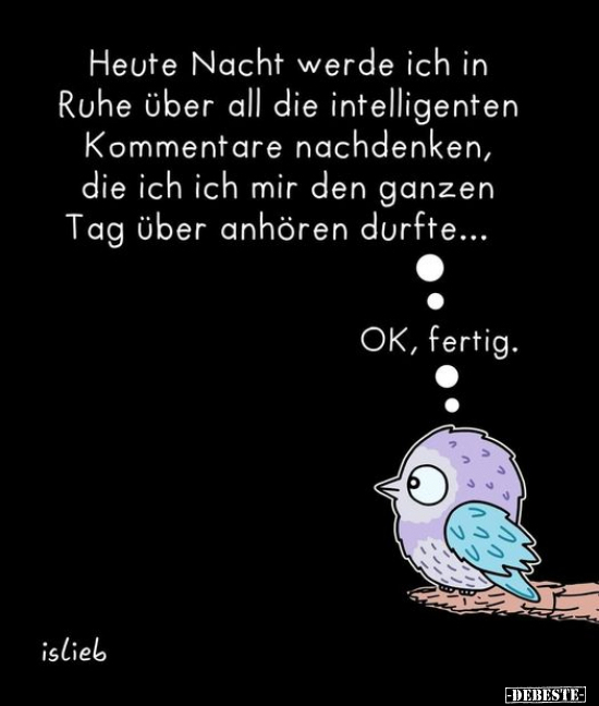 Heute Nacht werde ich in Ruhe über all die intelligenten.. - Lustige Bilder | DEBESTE.de