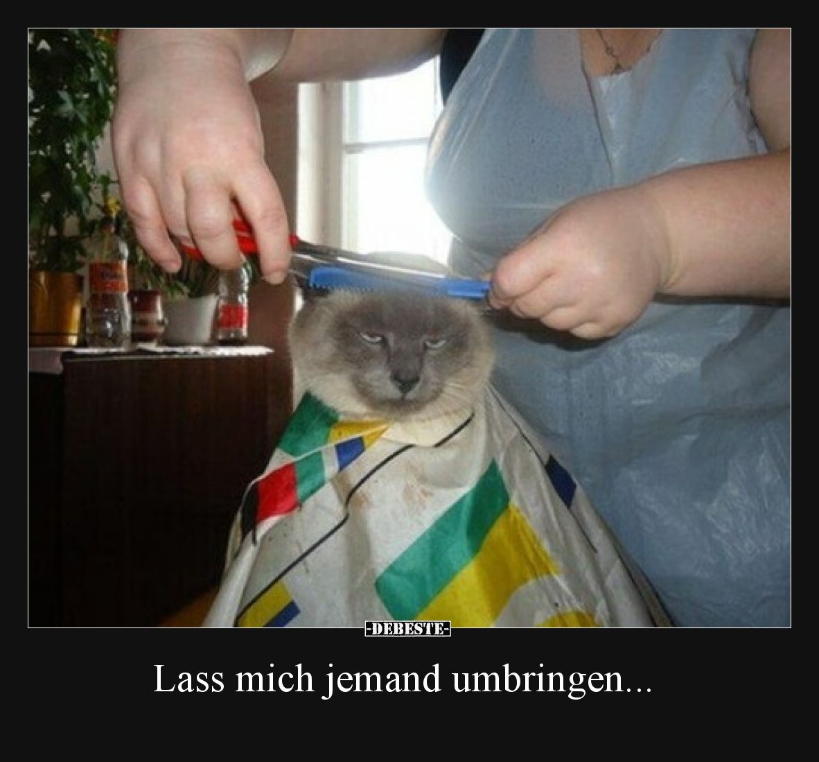 Lass mich jemand umbringen...