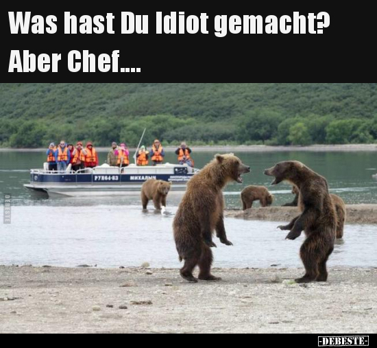 Was hast Du Idiot gemacht? Aber Chef.... - Lustige Bilder | DEBESTE.de