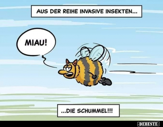 Aus der Reihe invasive Insekten... - Lustige Bilder | DEBESTE.de