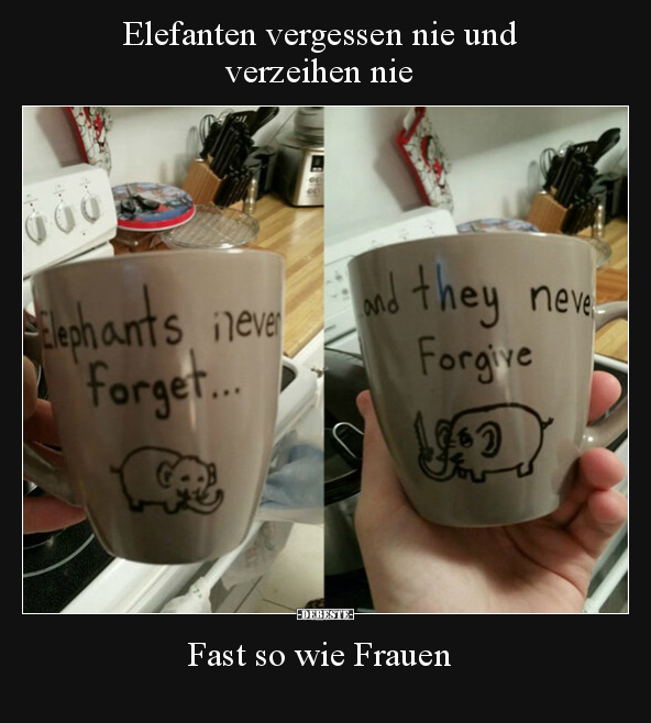 Elefanten vergessen nie und verzeihen nie.. - Lustige Bilder | DEBESTE.de