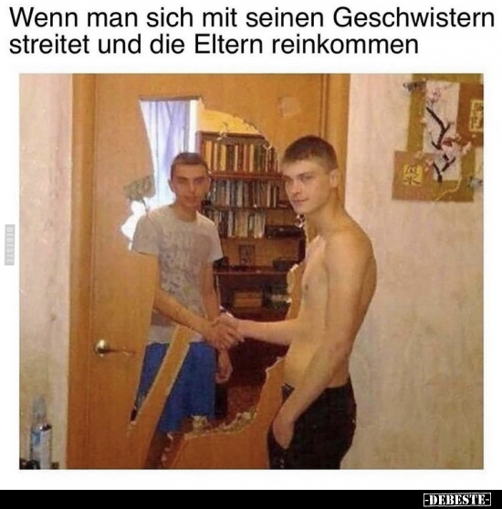 Wenn man sich mit seinen Geschwistern streitet und die.. - Lustige Bilder | DEBESTE.de
