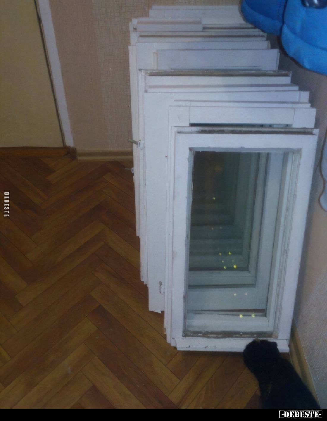  - Lustige Bilder | DEBESTE.de