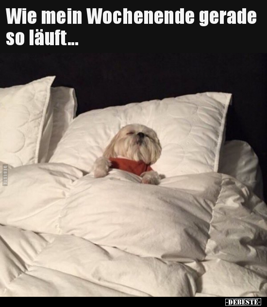 Wie mein Wochenende gerade so läuft...