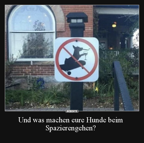 Und was machen eure Hunde beim Spazierengehen?.. - Lustige Bilder | DEBESTE.de