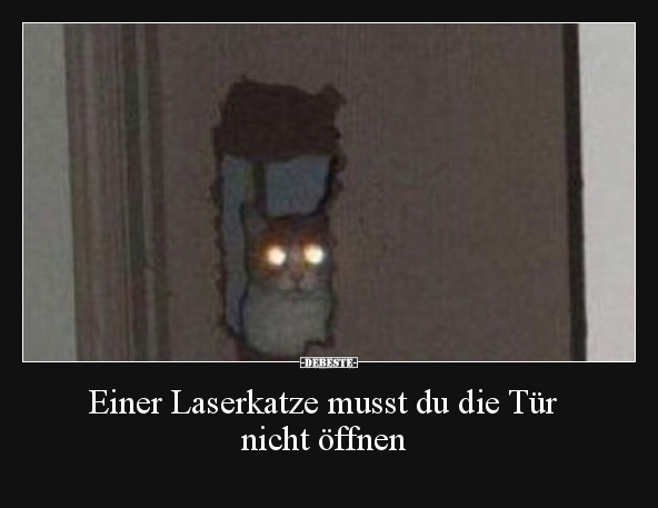 Einer Laserkatze musst du die Tür nicht öffnen.. - Lustige Bilder | DEBESTE.de