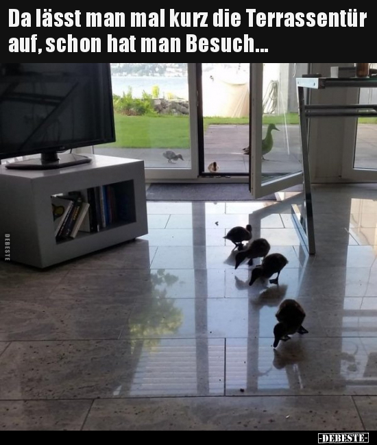 Da lässt man mal kurz die Terrassentür auf, schon hat man.. - Lustige Bilder | DEBESTE.de