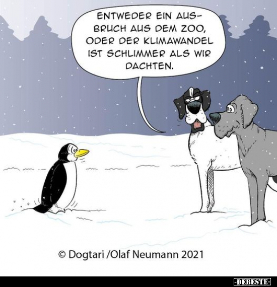 Entweder ein Ausbruch aus dem Zoo, oder der Klimawandel ist.. - Lustige Bilder | DEBESTE.de