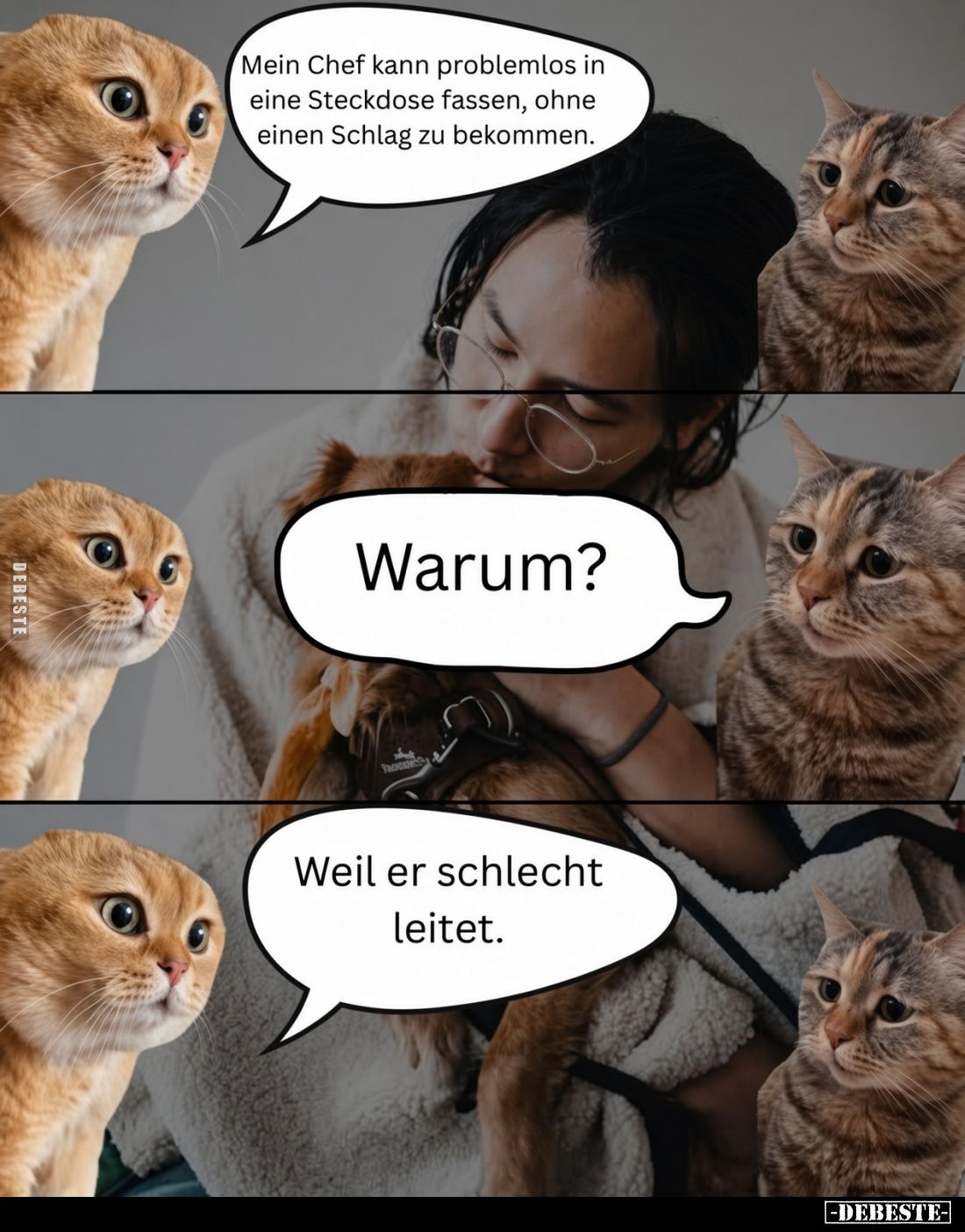 Mein Chef kann problemlos in eine Steckdose fassen, ohne einen Schlag zu bekommen.
Warum?
Weil er schlecht leitet.