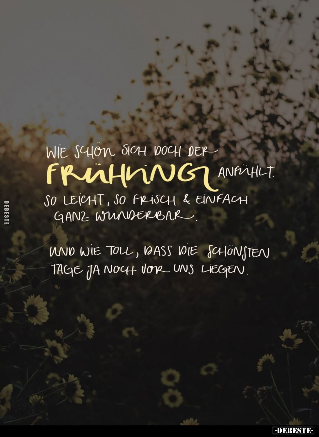 Wie schon sich doch der Frühling anfühlt. So leicht, so frisch und einfach ganz wunderbar.
Und wie toll, dass die schönsten ...