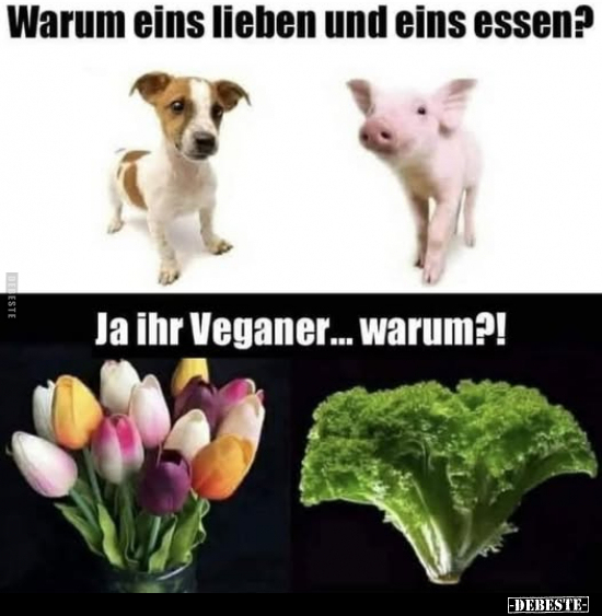 Warum eins lieben und eins essen? Ja ihr Veganer.. - Lustige Bilder | DEBESTE.de