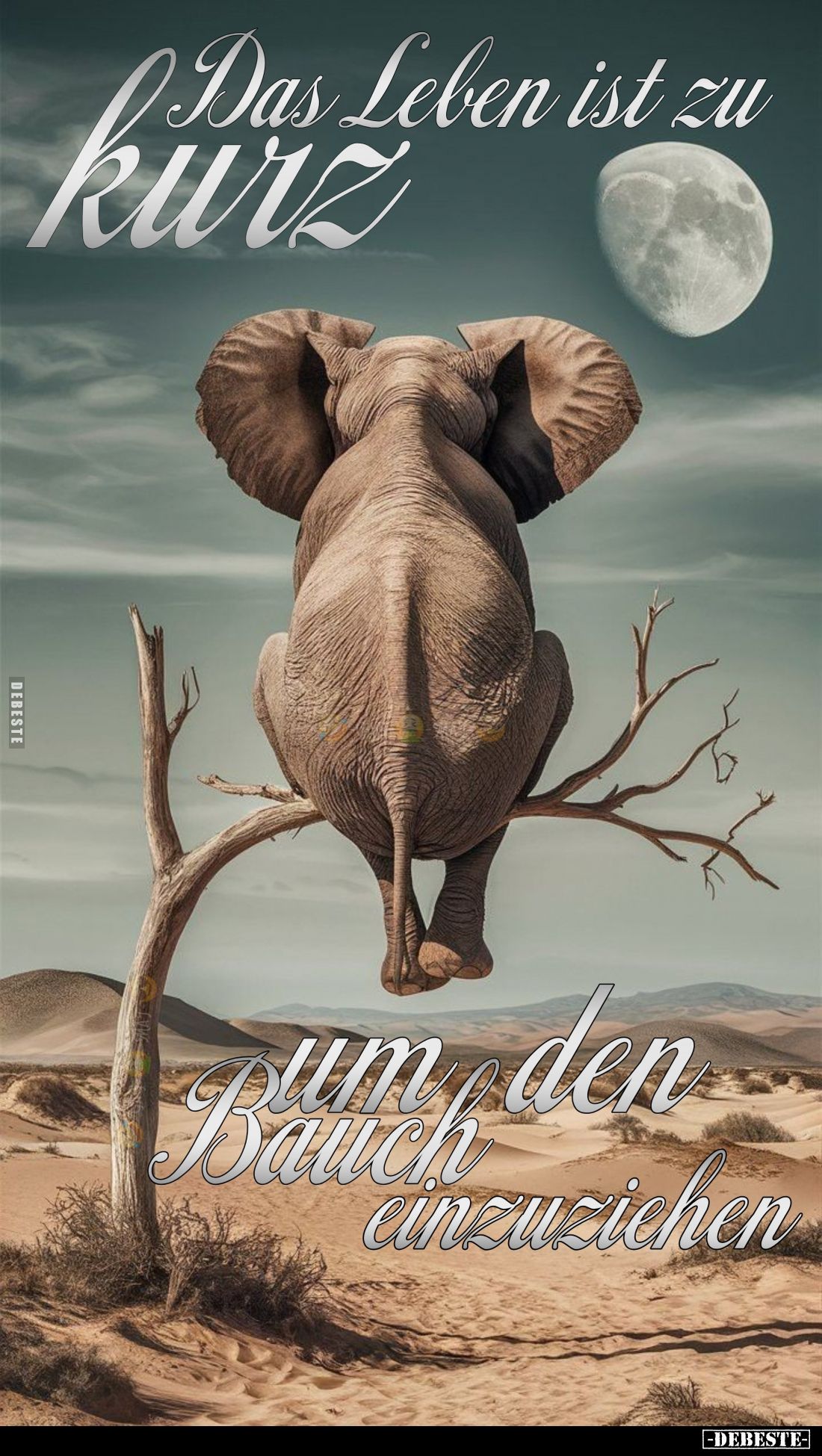 Das Leben ist zu kurz um den Bauch einzuziehen.