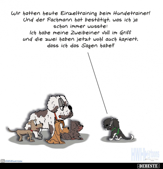 Wir hatten heute Einzeltraining beim Hundetrainer!.. - Lustige Bilder | DEBESTE.de