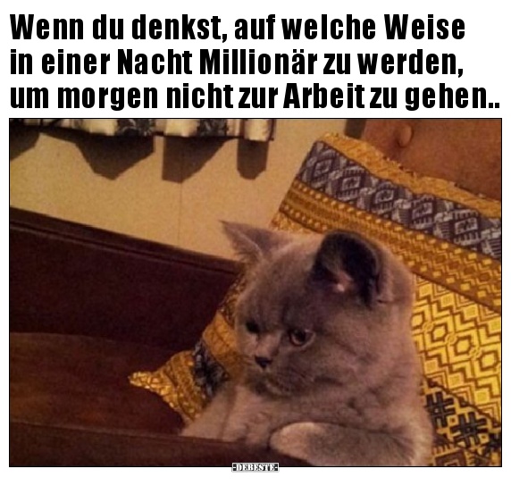 Wenn du denkst, auf welche Weise in einer Nacht Millionär zu werden..