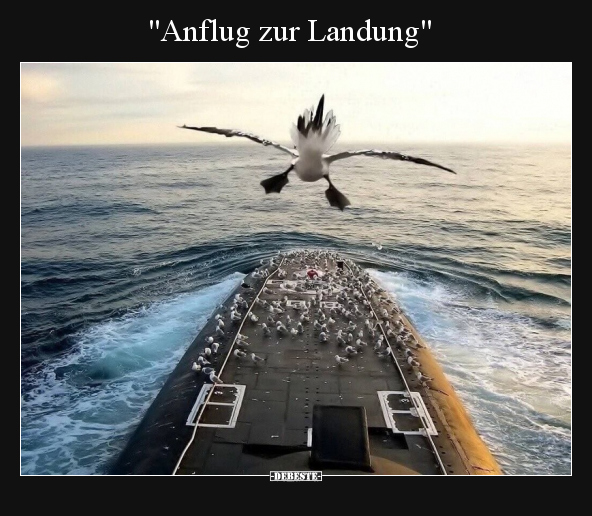 "Anflug zur Landung".. - Lustige Bilder | DEBESTE.de