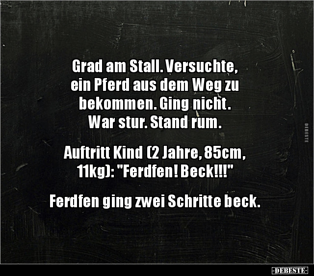 Grad am Stall. Versuchte, ein Pferd aus dem Weg zu.. - Lustige Bilder | DEBESTE.de