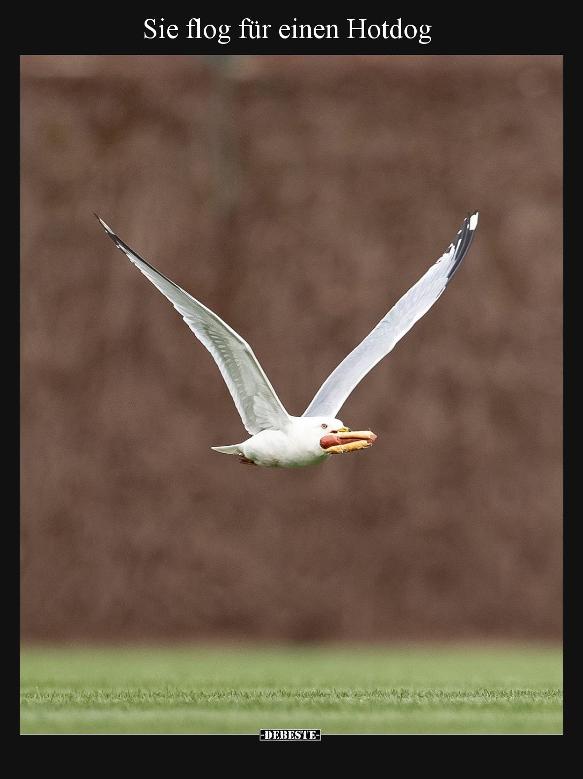 Sie flog für einen Hotdog