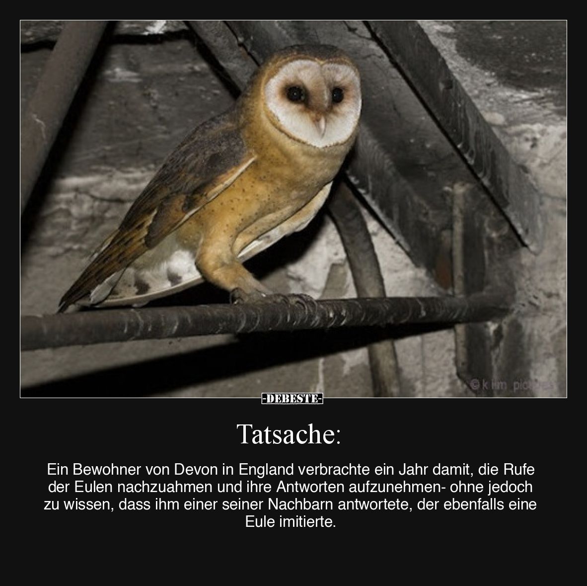 Tatsache: Ein Bewohner von Devon in England verbrachte ein.. - Lustige Bilder | DEBESTE.de