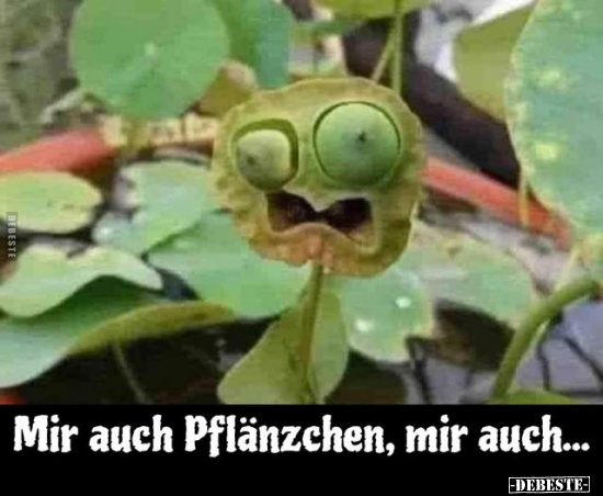 Mir auch Pflänzchen, mir auch...