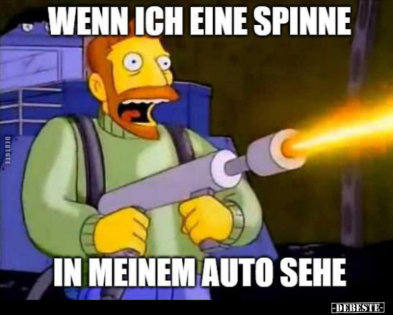 Wenn ich eine Spinne in meinem Auto sehe.. - Lustige Bilder | DEBESTE.de