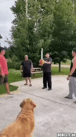 Wer kann der kann...