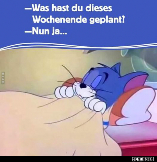 -Was hast du dieses Wochenende geplant?.. - Lustige Bilder | DEBESTE.de