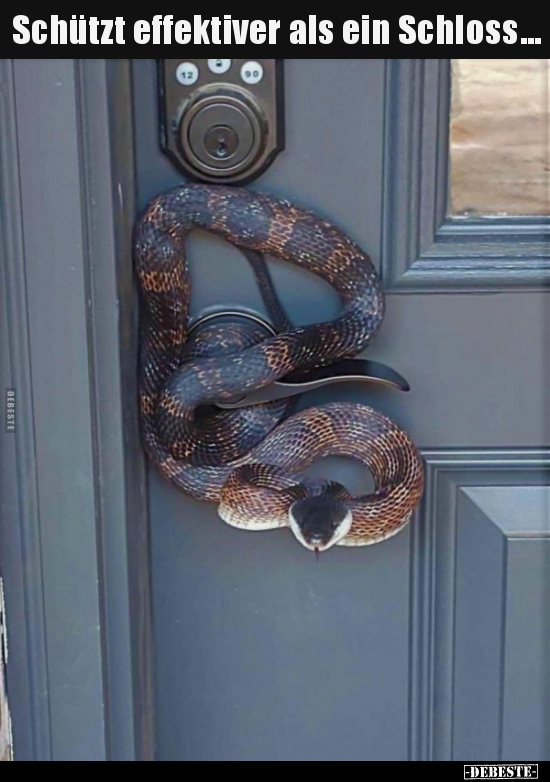 Schützt effektiver als ein Schloss...