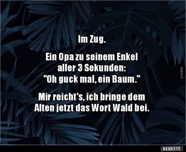 Im Zug. Ein Opa zu seinem Enkel aller 3 Sekunden.. - Lustige Bilder | DEBESTE.de