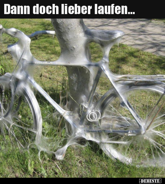 Dann doch lieber laufen...