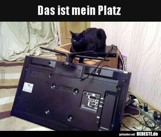 Das ist mein Platz..