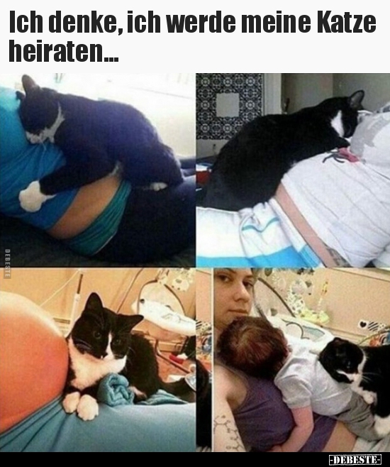 Ich denke, ich werde meine Katze heiraten... - Lustige Bilder | DEBESTE.de