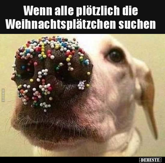 Wenn alle plötzlich die Weihnachtsplätzchen suchen.. - Lustige Bilder | DEBESTE.de