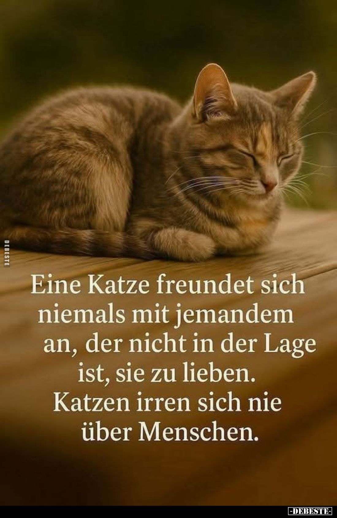 Eine Katze freundet sich niemals mit jemandem an, der nicht in der Lage ist, sie zu lieben.
Katzen irren sich nie über Mensc...