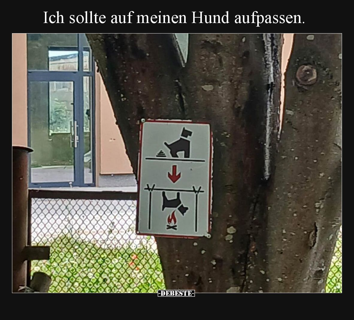 Ich sollte auf meinen Hund aufpassen.