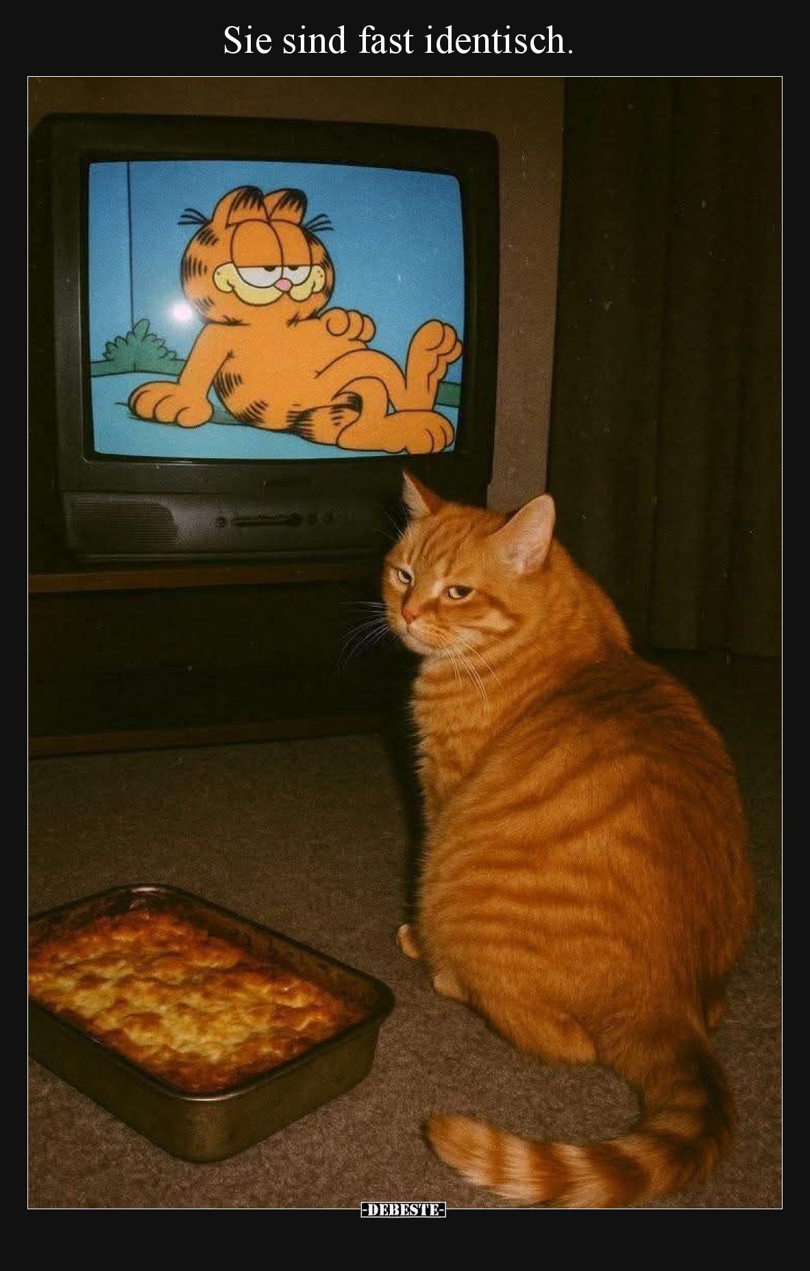 Sie sind fast identisch.