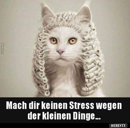 Mach dir keinen Stress wegen der kleinen Dinge... - Lustige Bilder | DEBESTE.de