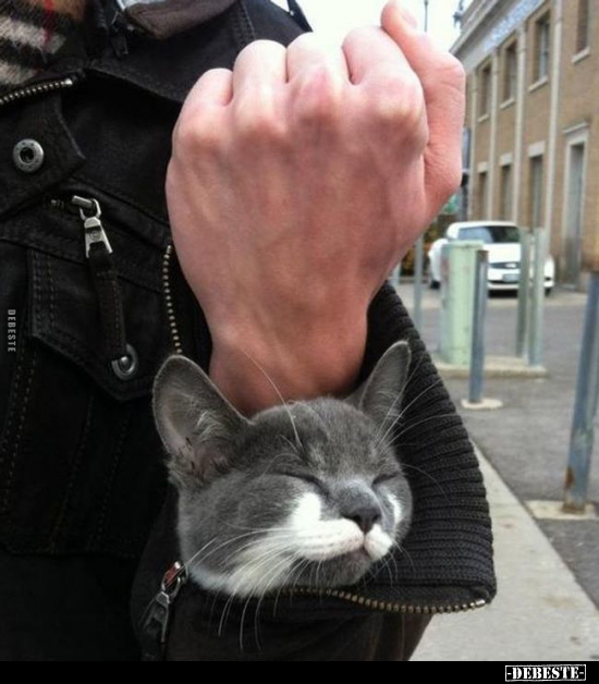  - Lustige Bilder | DEBESTE.de