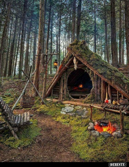  - Lustige Bilder | DEBESTE.de