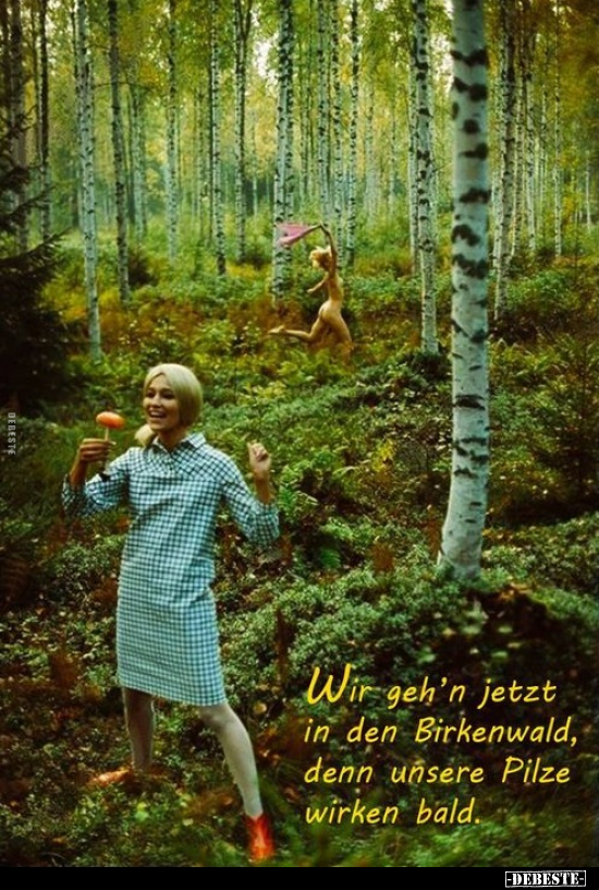 Wir geh'n jetzt in den Birkenwald, denn unsere Pilze.. - Lustige Bilder | DEBESTE.de