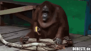 Dem hat das ja auch schon mal jemand gezeigt...