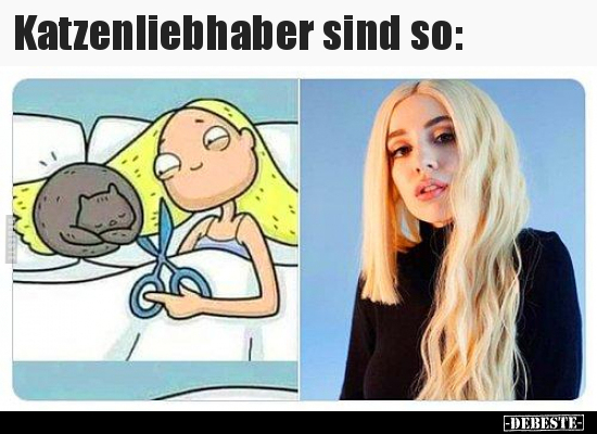Katzenliebhaber sind so..